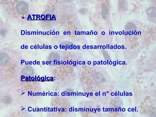 AATTRROOFFIIAA 
Disminución en tamaño o involución 
de células o tejidos desarrollados. 
Puede ser fisiológica o patológica. 
PPaattoollóóggiiccaa: 
 Numérica: disminuye el n° células 
 Cuantitativa: disminuye tamaño cel. 
 