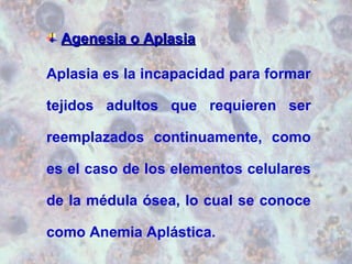 AAggeenneessiiaa oo AAppllaassiiaa 
Aplasia es la incapacidad para formar 
tejidos adultos que requieren ser 
reemplazados continuamente, como 
es el caso de los elementos celulares 
de la médula ósea, lo cual se conoce 
como Anemia Aplástica. 
 