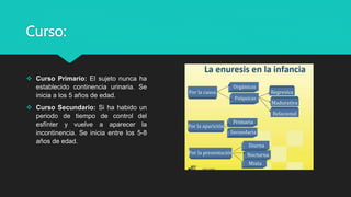 Curso:
 Curso Primario: El sujeto nunca ha
establecido continencia urinaria. Se
inicia a los 5 años de edad.
 Curso Secundario: Si ha habido un
periodo de tiempo de control del
esfínter y vuelve a aparecer la
incontinencia. Se inicia entre los 5-8
años de edad.
 