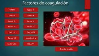 Factor Iv trastornos de la coagulacion sistem.pptx