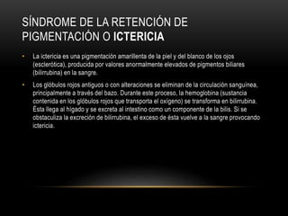 SÍNDROME DE LA RETENCIÓN DE
PIGMENTACIÓN O ICTERICIA
• La ictericia es una pigmentación amarillenta de la piel y del blanco de los ojos
(esclerótica), producida por valores anormalmente elevados de pigmentos biliares
(bilirrubina) en la sangre.
• Los glóbulos rojos antiguos o con alteraciones se eliminan de la circulación sanguínea,
principalmente a través del bazo. Durante este proceso, la hemoglobina (sustancia
contenida en los glóbulos rojos que transporta el oxígeno) se transforma en bilirrubina.
Ésta llega al hígado y se excreta al intestino como un componente de la bilis. Si se
obstaculiza la excreción de bilirrubina, el exceso de ésta vuelve a la sangre provocando
ictericia.
 