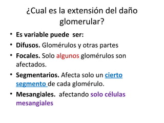¿Cual es la extensión del daño
glomerular?
• Es variable puede ser:
• Difusos. Glomérulos y otras partes
• Focales. Solo algunos glomérulos son
afectados.
• Segmentarios. Afecta solo un cierto
segmento de cada glomérulo.
• Mesangiales. afectando solo células
mesangiales
 