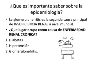 ¿Que es importante saber sobre la
epidemiologia?
• La glomerulonefritis es la segunda causa principal
de INSUFICIENCIA RENAL a nivel mundial.
• ¿Que lugar ocupa como causa de ENFERMEDAD
RENAL CRONICA?
1.Diabetes
2.Hipertensión
3.Glomerulonefritis.
 