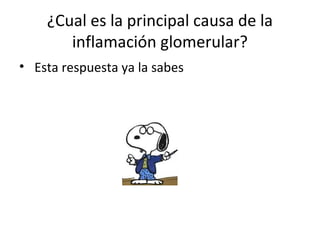 ¿Cual es la principal causa de la
inflamación glomerular?
• Esta respuesta ya la sabes
 