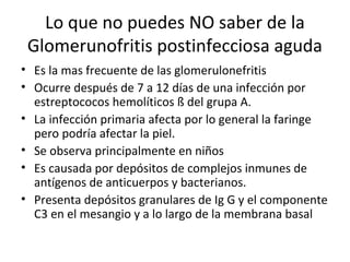 Lo que no puedes NO saber de la
Glomerunofritis postinfecciosa aguda
• Es la mas frecuente de las glomerulonefritis
• Ocurre después de 7 a 12 días de una infección por
estreptococos hemolíticos ß del grupa A.
• La infección primaria afecta por lo general la faringe
pero podría afectar la piel.
• Se observa principalmente en niños
• Es causada por depósitos de complejos inmunes de
antígenos de anticuerpos y bacterianos.
• Presenta depósitos granulares de Ig G y el componente
C3 en el mesangio y a lo largo de la membrana basal
 