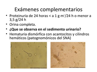 Exámenes complementarios
• Proteinuria de 24 horas < a 1 g m2
/24 h o menor a
3,5 g/24 h
• Orina completa.
• ¿Que se observa en el sedimento urinario?
• Hematuria dismórfica con acantocitos y cilindros
hemáticos (patognomónicos del SNA)
 