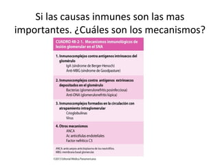 Si las causas inmunes son las mas
importantes. ¿Cuáles son los mecanismos?
 