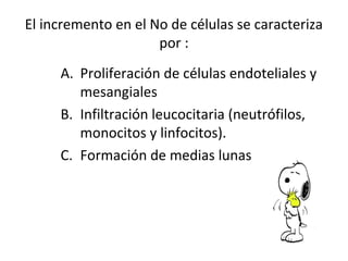 El incremento en el No de células se caracteriza
por :
A. Proliferación de células endoteliales y
mesangiales
B. Infiltración leucocitaria (neutrófilos,
monocitos y linfocitos).
C. Formación de medias lunas
 