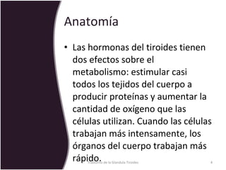 Anatomía  Las hormonas del tiroides tienen dos efectos sobre el metabolismo: estimular casi todos los tejidos del cuerpo a producir proteínas y aumentar la cantidad de oxígeno que las células utilizan. Cuando las células trabajan más intensamente, los órganos del cuerpo trabajan más rápido.  Trastorno de la Glandula Tiroides 