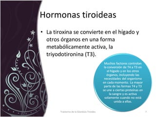 Hormonas tiroideas La tiroxina se convierte en el hígado y otros órganos en una forma metabólicamente activa, la triyodotironina (T3).  Trastorno de la Glandula Tiroides 