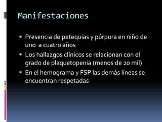 ManifestacionesPresencia de petequias y púrpura en niño de uno  a cuatro añosLos hallazgos clínicos se relacionan con el grado de plaquetopenia (menos de 20 mil)En el hemograma y FSP las demás líneas se encuentran respetadas