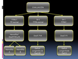 EVALUACIÓNTTPA TP normalTP TTPA normalTP  TTPAHemofilia?Dosif FVII y IXDosif. FVIIDosif. FVHemofiliaAHemofiliaBDeficitcongentito de Fact VIIDeficitcongenitodeFact V
