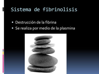 Sistema de fibrinolisisDestrucción de la fibrinaSe realiza por medio de la plasmina