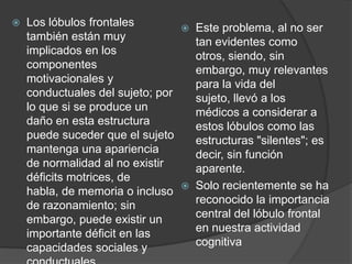 Los lóbulos frontales también están muy implicados en los componentes motivacionales y conductuales del sujeto; por lo que si se produce un daño en esta estructura puede suceder que el sujeto mantenga una apariencia de normalidad al no existir déficits motrices, de habla, de memoria o incluso de razonamiento; sin embargo, puede existir un importante déficit en las capacidades sociales y conductuales. Este problema, al no ser tan evidentes como otros, siendo, sin embargo, muy relevantes para la vida del sujeto, llevó a los médicos a considerar a estos lóbulos como las estructuras "silentes"; es decir, sin función aparente.Solo recientemente se ha reconocido la importancia central del lóbulo frontal en nuestra actividad cognitiva