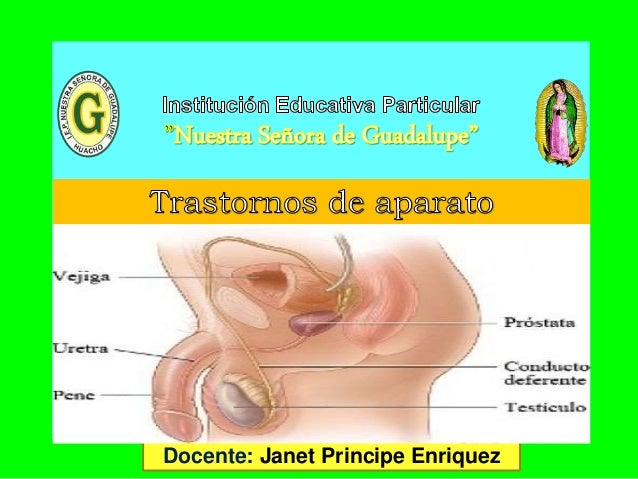 Transtornos del aparato sexual