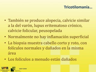 Tricotilomanía…
• También se produce alopecia calvicie similar
• También se produce alopecia, calvicie similar
a la del varón, lupus eritematoso crónico,
calvicie folicular peusopelada
calvicie folicular, peusopelada
• Normalmente no hay inflamación superficial
• La biopsia muestra cabello corto y roto, con
folículos normales y dañados en la misma
área
• Los folículos a menudo están dañados
2007-2009
 