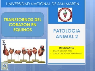 PATOLOGIA
ANIMAL 2
INTEGFANTES
• SHANTI CLAUDY RIOS
• JORGE DEL AGUILA HERNANDEZ.
UNIVERSIDAD NACIONAL DE SAN MARTIN
TRANSTORNOS DEL
CORAZON EN
EQUINOS
 