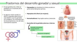 Trastornos del desarrollo gonadal y sexual:
• El sexo genético de un feto se
establece en el momento de la
fecundación.
• En algunos recién nacidos es
difícil o imposible determinar el
sexo debido a que los genitales
son ambiguos, con anomalías que
los hacen parecerse a los del sexo
cromosómico opuesto
• Hipospadias (en Hombres) La Uretra se abre en
parte ventral del pene/ perineo.
• Hiperplasia del clítoris (en mujeres).
• Hermafroditismo: Hay tejido ovárico y testicular.
• Anomalías de los genitales externos e internos
Anomalías cromosómicas
en otras áreas del
cariotipo.
alteraciones monogénica
Causas no genéticas.
 