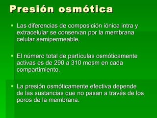 Presión osmótica <ul><li>Las diferencias de composición iónica intra y extracelular se conservan por la membrana celular s...