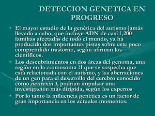 DETECCION GENETICA EN PROGRESO El mayor estudio de la genética del autismo jamás llevado a cabo, que incluye ADN de casi 1,200 familias afectadas de todo el mundo, ya ha producido dos importantes pistas sobre este poco comprendido trastorno, según afirman los científicos. Los descubrimientos en dos áreas del genoma, una región en la cromosoma 11 que se sospecha que está relacionada con el autismo, y las aberraciones de un gen para el desarrollo del cerebro conocido como  neurexin 1 , podrían impulsar una investigación más dirigida, según los expertos Por lo tanto la influencia genética es un factor de gran importancia en los actuales momentos. 