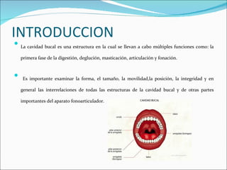 INTRODUCCION
   La cavidad bucal es una estructura en la cual se llevan a cabo múltiples funciones como: la

    primera ...