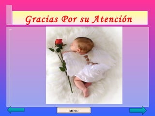 Gracias Por su Atención




         MENU
 