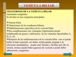 VESÍCULA BILIAR
TRASTORNOS DE LA VESÍCULA BILIAR
Anomalías congénitas
Se dividen en tres categorías principales:

Atresia biliar,
Alteraciones de los conductos biliares.
Malformaciones especificas de la vesícula biliar.
Sus complicaciones son: colangitis, hipertensión portal,
malabsordón de grasas y deficiencia de las vitaminas liposolubles A,
D, E y K.
Respecto de las malformaciones de la vesícula biliar esta se puede
hallar al lado izquierdo, ser doble, multiceptada, plegada o de
ubicación intrahepática, puede estar flotante y facilitar por ello su
torsión, incluso puede haber agenesia de vesícula o puede haber
adherencias, congénitas.
 