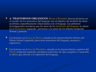  AA.. TTRRAASSTTOORRNNOOSS OORRGGAANNIICCOOSS:: BBrrooccaa yy WWeerrnniicckkee ffuueerroonn ppiioonneerrooss eenn 
eell eessttuuddiioo ddee llooss ttrraassttoorrnnooss ddeell lleenngguuaajjee ccoonn eell oobbjjeettiivvoo ddee llooccaalliizzaarr llaass áárreeaass 
cceerreebbrraalleess eessppeeccííffiiccaammeennttee rreellaacciioonnaaddaass ccoonn eell lleenngguuaajjee.. LLaass pprriimmeerraass 
iinnvveessttiiggaacciioonneess rreevveellaarroonn qquuee llaass áárreeaass ddee llaass ffuunncciioonneess ddeell lleenngguuaajjee ssee ssiittúúaann 
eenn eell hheemmiissffeerriioo iizzqquuiieerrddoo ,, pprróóxxiimmaass aa llaa uunniióónn ddee llooss llóóbbuullooss tteemmppoorraall,, 
ffrroonnttaall yy ppaarriieettaall.. 
 LLaass lleessiioonneess eenn eell áárreeaa ddee BBrrooccaa,, ssiittuuaaddaa eenn llaa cciirrccuunnvvoolluucciióónn iinnffeerriioorr ddeell 
llóóbbuulloo ffrroonnttaall iizzqquuiieerrddoo,, pprroovvooccaann ttrraassttoorrnnooss ddeell lleenngguuaajjee,, mmoottoorreess yy 
eexxpprreessiivvooss.. 
 LLaass lleessiioonneess eenn eell áárreeaa ddee WWeerrnniicckkee,, ssiittuuaaddaa eenn llaa cciirrccuunnvvoolluucciióónn ssuuppeerriioorr ddeell 
llóóbbuulloo tteemmppoorraall iizzqquuiieerrddoo,, pprroodduucceenn ttrraassttoorrnnooss ddee ttiippoo rreecceeppttiivvoo oo sseennssoorriiaall,, 
eess ddeecciirr,, qquuee aaffeeccttaann aa llaa eexxpprreessiióónn ddeell lleenngguuaajjee.. 
 