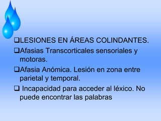 LESIONES EN ÁREAS COLINDANTES.
Afasias Transcorticales sensoriales y
motoras.
Afasia Anómica. Lesión en zona entre
parietal y temporal.
 Incapacidad para acceder al léxico. No
puede encontrar las palabras
 