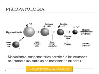 FISIOPATOLOGIA
Clin Geriatr Med 29 (2013) 275-319
 
