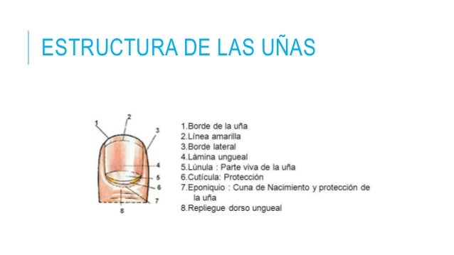 Como curar la psoriasis en el contacto