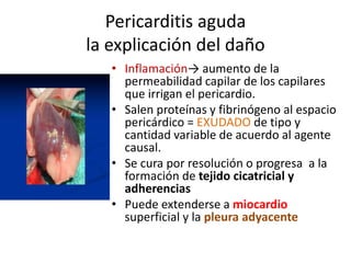 Pericarditis aguda
la explicación del daño
• Inflamación→ aumento de la
permeabilidad capilar de los capilares
que irrigan el pericardio.
• Salen proteínas y fibrinógeno al espacio
pericárdico = EXUDADO de tipo y
cantidad variable de acuerdo al agente
causal.
• Se cura por resolución o progresa a la
formación de tejido cicatricial y
adherencias
• Puede extenderse a miocardio
superficial y la pleura adyacente
 