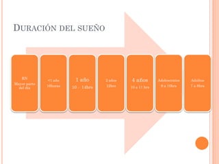 DURACIÓN DEL SUEÑO




   RN
               <1 año    1 año       2 años   4 años        Adolescentes   Adultos
Mayor parte
              16horas   10 - 14hrs   12hrs    10 a 11 hrs    9 a 10hrs     7 a 8hrs
  del día
 