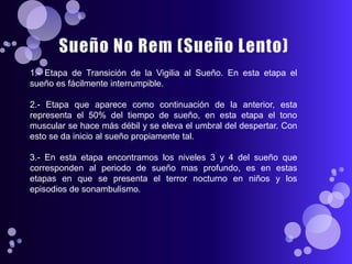1.- Etapa de Transición de la Vigilia al Sueño. En esta etapa el
sueño es fácilmente interrumpible.

2.- Etapa que aparece como continuación de la anterior, esta
representa el 50% del tiempo de sueño, en esta etapa el tono
muscular se hace más débil y se eleva el umbral del despertar. Con
esto se da inicio al sueño propiamente tal.

3.- En esta etapa encontramos los niveles 3 y 4 del sueño que
corresponden al periodo de sueño mas profundo, es en estas
etapas en que se presenta el terror nocturno en niños y los
episodios de sonambulismo.
 