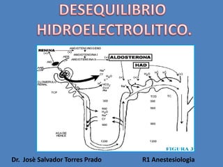 Dr. Josè Salvador Torres Prado R1 Anestesiologia
 