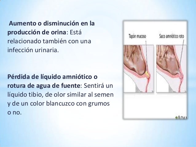 Trastornos En El Segundo Trimestre De Embarazo