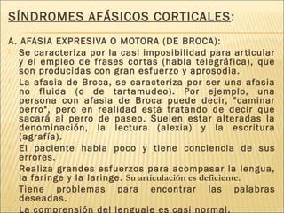 SÍNDROMES AFÁSICOS CORTICALES: 
A. AFASIA EXPRESIVA O MOTORA (DE BROCA): 
 Se caracteriza por la casi imposibilidad para ar ticular 
y el empleo de frases cor tas (habla telegráfica), que 
son producidas con gran esfuerzo y aprosodia. 
 La afasia de Broca, se caracteriza por ser una afasia 
no fluida (o de tar tamudeo). Por ejemplo, una 
persona con afasia de Broca puede decir, "caminar 
perro", pero en realidad está tratando de decir que 
sacará al perro de paseo. Suelen estar alteradas la 
denominación, la lectura (alexia) y la escritura 
(agrafía). 
 El paciente habla poco y tiene conciencia de sus 
errores. 
 Realiza grandes esfuerzos para acompasar la lengua, 
la faringe y la laringe. Su articulación es deficiente. 
 Tiene problemas para encontrar las palabras 
deseadas. 
 La comprensión del lenguaje es casi normal. 
 