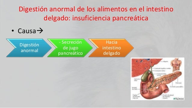 Donde dirigirse cuando la madre bebe