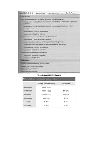 FORMULA LEUCOCITARIA 
 