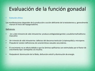 Evaluación de la función gonadal
• Evolución clínica:
Las manifestaciones dependen de la producción o acción deficiente de la testosterona y generalmente
marcan el inicio del hipogonadismo.
Deficiencia:
• 1er y 2do trimestre de vida intrauterina: produce ambigüedad genital y seudohermafroditismo
masculino
• 3er trimeste de vida intrauterina: defectos del descenso testicular (criptorquidia) y micropene.
• Prepuberal: existen deficiencias de características sexuales secundarias .
• El crecimiento no se afecta debido a que las láminas epifisiarias son estimuladas por el factor de
crecimiento tipo I semejante a la insulina.
• Postpuberal: disminución de la líbido, disfunción eréctil y disminución de energía.
 