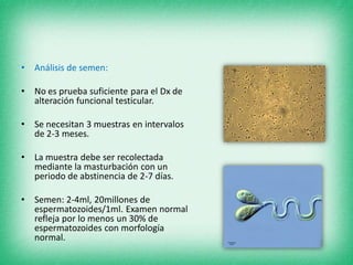 • Análisis de semen:
• No es prueba suficiente para el Dx de
alteración funcional testicular.
• Se necesitan 3 muestras en intervalos
de 2-3 meses.
• La muestra debe ser recolectada
mediante la masturbación con un
periodo de abstinencia de 2-7 días.
• Semen: 2-4ml, 20millones de
espermatozoides/1ml. Examen normal
refleja por lo menos un 30% de
espermatozoides con morfología
normal.
 