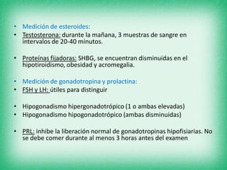 • Medición de esteroides:
• Testosterona: durante la mañana, 3 muestras de sangre en
intervalos de 20-40 minutos.
• Proteínas fijadoras: SHBG, se encuentran disminuidas en el
hipotiroidismo, obesidad y acromegalia.
• Medición de gonadotropina y prolactina:
• FSH y LH: útiles para distinguir
• Hipogonadismo hipergonadotrópico (1 o ambas elevadas)
• Hipogonadismo hipogonadotrópico (ambas disminuidas)
• PRL: inhibe la liberación normal de gonadotropinas hipofisiarias. No
se debe comer durante al menos 3 horas antes del examen
 
