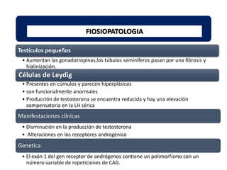FIOSIOPATOLOGIA
Testículos pequeños
• Aumentan las gonadotropinas,los túbulos seminíferos pasan por una fibrosis y
hialinización.
Células de Leydig
• Presentes en cúmulos y parecen hiperplásicas
• son funcionalmente anormales
• Producción de testosterona se encuentra reducida y hay una elevación
compensatoria en la LH sérica
Manifestaciones clínicas
• Disminución en la producción de testosterona
• Alteraciones en los receptores androgénico
Genetica
• El exón 1 del gen receptor de andrógenos contiene un polimorfismo con un
número variable de repeticiones de CAG.
 