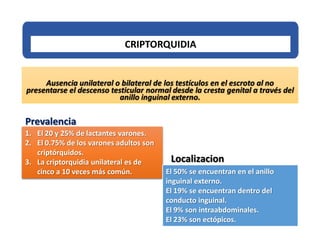 Ausencia unilateral o bilateral de los testículos en el escroto al no
presentarse el descenso testicular normal desde la cresta genital a través del
anillo inguinal externo.
CRIPTORQUIDIA
1. El 20 y 25% de lactantes varones.
2. El 0.75% de los varones adultos son
criptórquidos.
3. La criptorquidia unilateral es de
cinco a 10 veces más común.
Prevalencia
El 50% se encuentran en el anillo
inguinal externo.
El 19% se encuentran dentro del
conducto inguinal.
El 9% son intraabdominales.
El 23% son ectópicos.
Localizacion
 