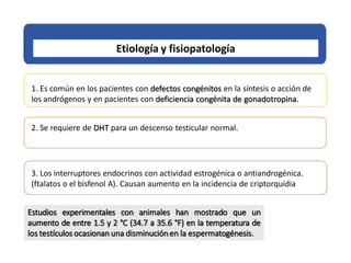 Etiología y fisiopatología
1. Es común en los pacientes con defectos congénitos en la síntesis o acción de
los andrógenos y en pacientes con deficiencia congénita de gonadotropina.
2. Se requiere de DHT para un descenso testicular normal.
3. Los interruptores endocrinos con actividad estrogénica o antiandrogénica.
(ftalatos o el bisfenol A). Causan aumento en la incidencia de criptorquidia
Estudios experimentales con animales han mostrado que un
aumento de entre 1.5 y 2 °C (34.7 a 35.6 °F) en la temperatura de
los testículos ocasionan una disminuciónen la espermatogénesis.
 