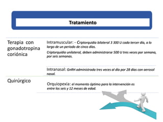 Terapia con
gonadotropina
coriónica
Intramuscular: - Criptorquidia bilateral 3 300 U cada tercer día, a lo
largo de un periodo de cinco días.
Criptorquidia unilateral, deben administrarse 500 U tres veces por semana,
por seis semanas.
Intranasal: GnRH administrada tres veces al día por 28 días con aerosol
nasal.
Quirúrgico
Orquiopexia: el momento óptimo para la intervención es
entre los seis y 12 meses de edad.
Tratamiento
 