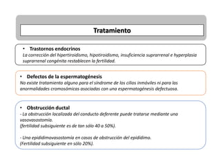 Tratamiento
• Trastornos endocrinos
La corrección del hipertiroidismo, hipotiroidismo, insuficiencia suprarrenal e hyperplasia
suprarrenal congénita restablecen la fertilidad.
• Defectos de la espermatogénesis
No existe tratamiento alguno para el síndrome de los cilios inmóviles ni para las
anormalidades cromosómicas asociadas con una espermatogénesis defectuosa.
• Obstrucción ductal
- La obstrucción localizada del conducto deferente puede tratarse mediante una
vasovasostomía.
(fertilidad subsiguiente es de tan sólo 40 a 50%).
- Una epididimovasostomía en casos de obstrucción del epidídimo.
(Fertilidad subsiguiente en sólo 20%).
 