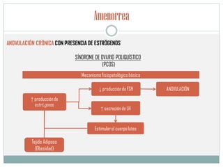 Amenorrea
ANOVULACIÓN CRÓNICA CON PRESENCIA DE ESTRÓGENOS
SÍNDROME DE OVARIO POLIQUÍSTICO
(PCOS)
↑ producciónde
estrógenos
↓ producciónde FSH ANOVULACIÓN
Estimularel cuerpolúteo
↑ secreciónde LH
Mecanismofisiopatológicobásico
Tejido Adiposo
(Obesidad)
 