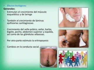 • Efectos biológicos:
Generales:
- Estimulan el crecimiento del músculo
esquelético y de laringe
- También el crecimiento de láminas
epifisiarias cartilaginosas
- Crecimiento del vello púbico, axilar, barba,
bigote, pecho, abdomen superior y espalda,
así como de las glándulas sébaceas.
- Por otra parte estimula la eritropoyesis
- Cambios en la conducta social.
 