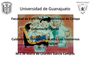 Universidad de Guanajuato  ,[object Object],[object Object],[object Object],[object Object]